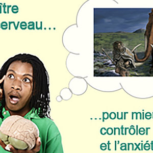 cerveau