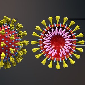 coronavirus-animation