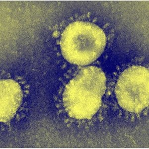 coronavirus