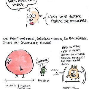 bd virus