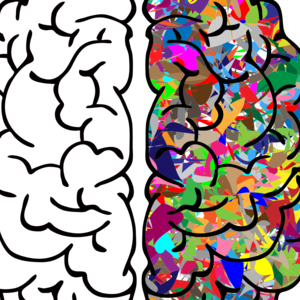 cerveau