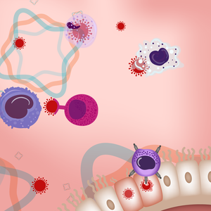 17.Infection-Immunite-BACKGROUND.png