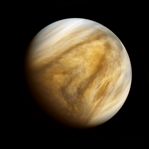 Venus_black_background.png