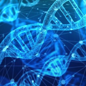 dna-3539309_1280.jpg