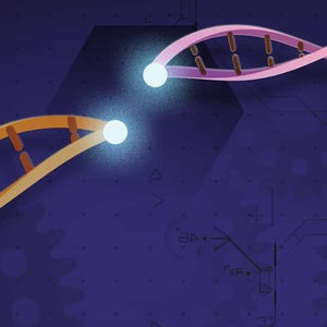 article_topimage_CRISPR.jpg