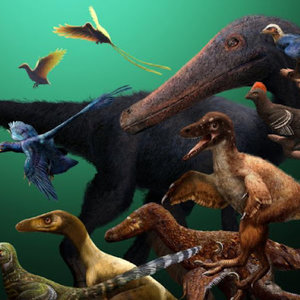dinosaures-oiseaux.jpg