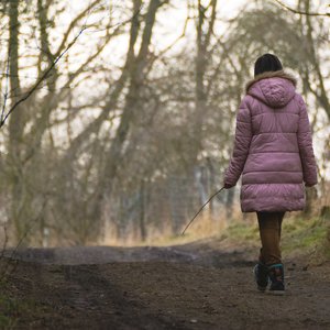 solitude-marche-bois.jpg