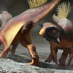 dinosaures-psittacorus.jpg