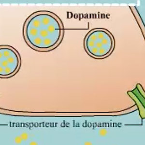 Capture d’écran, le 2021-02-19 à 10.47.35.jpg