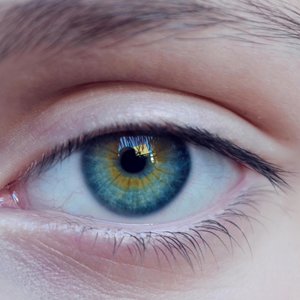 oeil-bleu.jpg