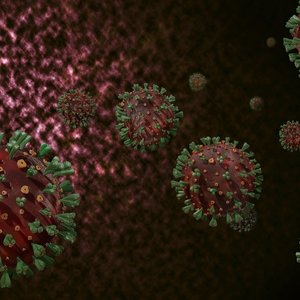 coronaviruses-couleurs.jpg