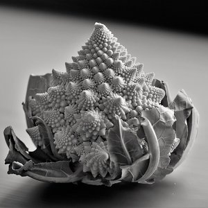 romanesco-3145993_1280.jpg