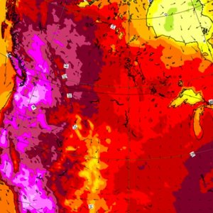 temperature-canicule-juin2021.jpg