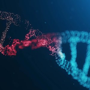 ADN-epigenetique.jpg