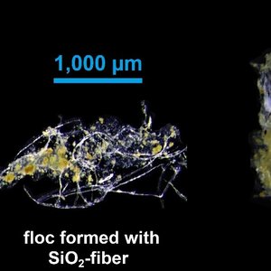 fibres-blogue CQMF.jpg