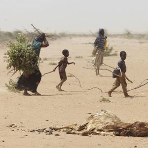 refugies-Afrique-Est.jpg