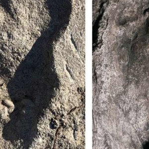 extra_large-1638345890-footprints-in-time copie.jpg