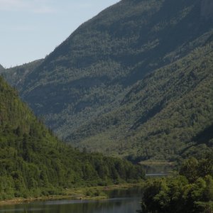 foret-Hautes-Gorges-Riviere-Malbaie.jpg