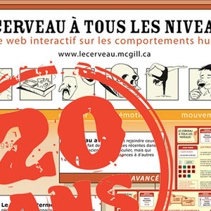 20 ans poster cerveau.jpg