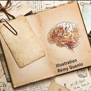 carnet-de-bord-cerveau gros.jpg