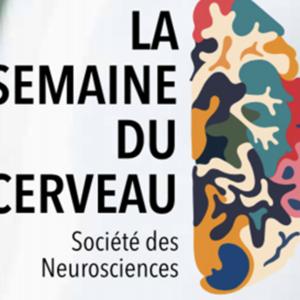 Semaine cerveau.jpg