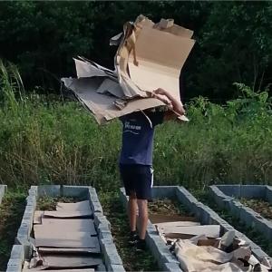 jardinage-carton.jpg