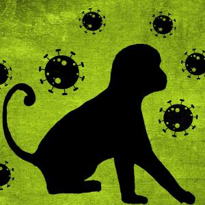 monkey-pox-gd0cc8fa1f_1920.jpg