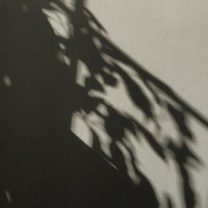 ombres-fenetres.jpg