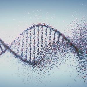genes-anomalie.jpg