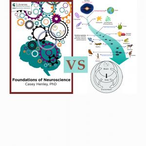 rouages vs embodiement 3.jpg