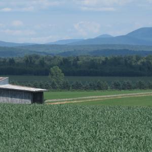 agriculture-St-Armand.jpg