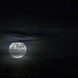 moonlight-ga20301364_1920.jpg