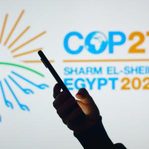 COP27-silhouette.jpg