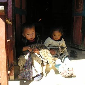 Jeunes enfants népalais jouant avec des chats