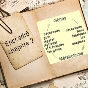 Encadré chapitre 2.jpg