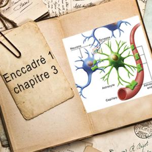 Encadré1 chapitre 3.jpg
