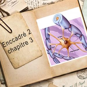 Encadré2 chapitre 3.jpg