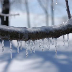 ice-storm-329768_1920.jpg