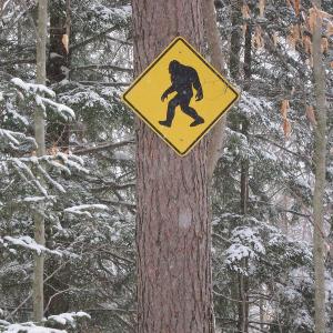 Panneau de signalisation Bigfoot affiché sur un arbre dans une forêt du Vermont