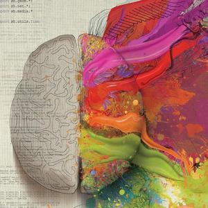 brain-g347ee524a_1920.jpg