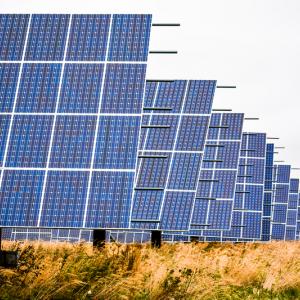 Grands panneaux solaires dans un champ 