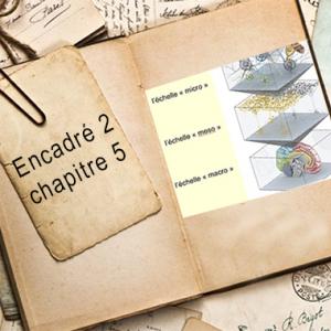 Encadré chapitre 5 #2.jpg