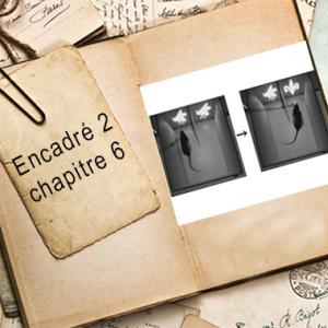 Encadré chapitre 6 #2.jpg