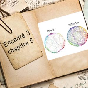 Encadré chapitre 6 #3.jpg