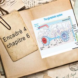 Encadré chapitre 6 #4.jpg