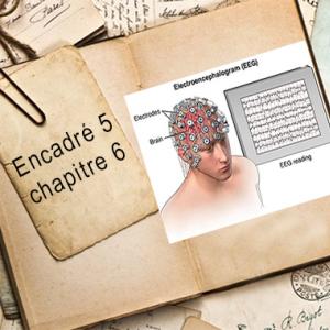 Encadré chapitre 6 #5.jpg
