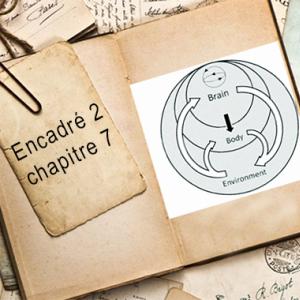 Encadré chapitre 7 #2.jpg