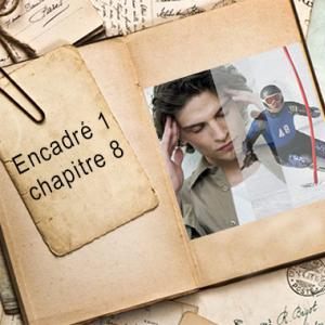 Encadré chapitre 8 #1.jpg