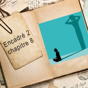 Encadré chapitre 8 #2.jpg