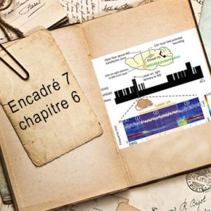 Encadré chapitre 6 #7.jpg